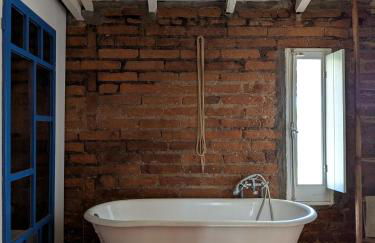 Monte das Aranhas - Foto 67