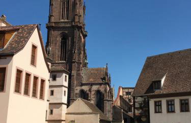 Appartements - La Cour St Fulrad - Foto 35