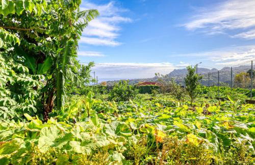 O Miminho, a Home in Madeira - Foto 30