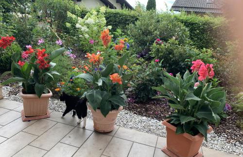 Ferienwohnungen Kasparbauer - Foto 28