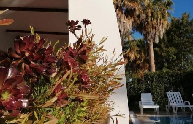 Herdade da Diabroria - Foto 41