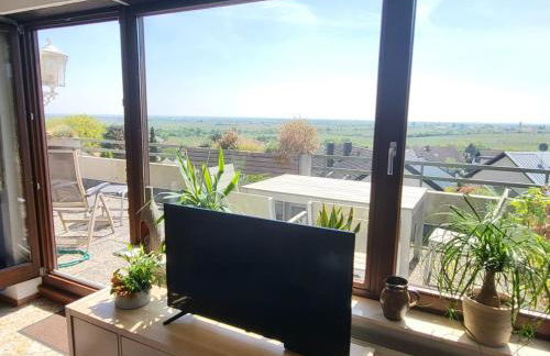 Ferienwohnung Buenavista - Foto 14