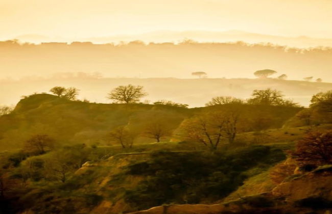 Villa in Tuscany With Pool Near Beach - Photo 29