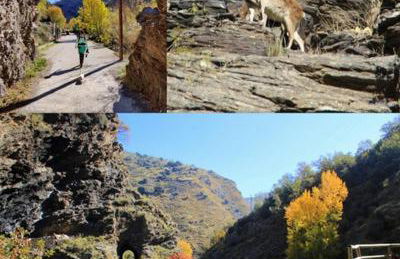 La Casa de la Plaza - Foto 46