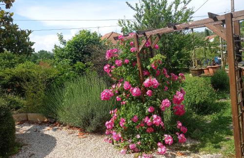 studio type 1bis - Photo 13