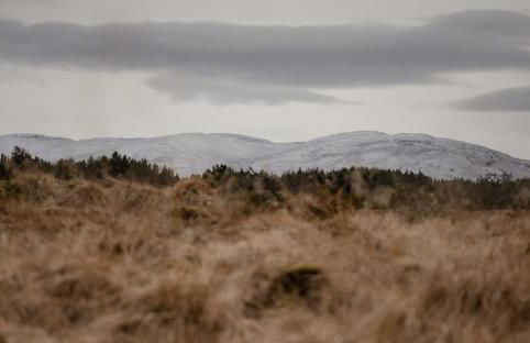 Highland Shepherd Huts - Foto 25