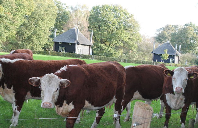 Cozy House near River - Photo 24