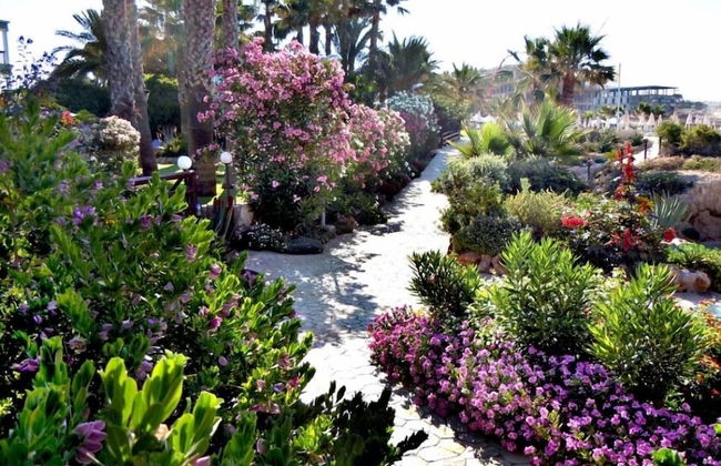 Rododafni Beach Apartments - Foto 65