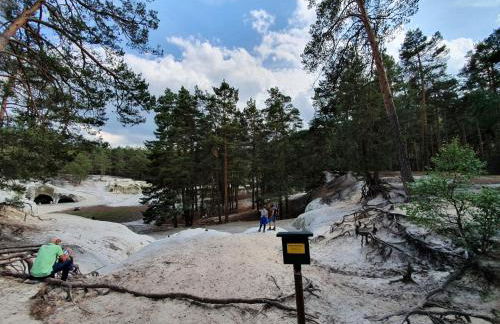 ****FH Blauvogel 60 Harz - Foto 42