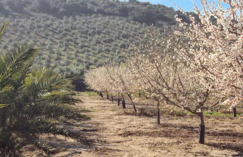 Comfortable House in Estepa with Shared Pool - Photo 17