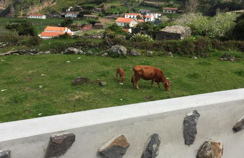 Fajazinha Cottage - Foto 18