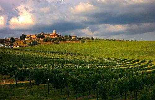 House with a view in Tuscany - Foto 60