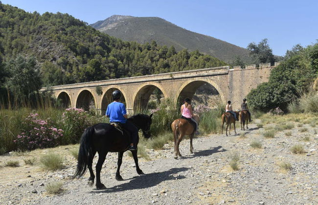 Balade à cheval à travers l'Alpujarra - Photo 6