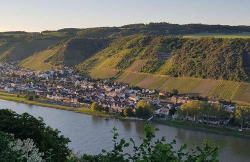 Uitzicht op de Pellenz - Foto 55