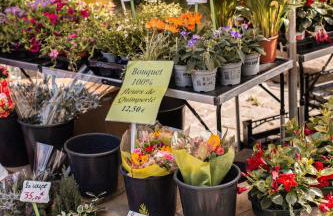 La Vedette - Les Gîtes de KEROUZEC - Mer et centre historique - Foto 35