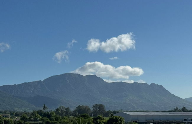 Bula Bliss - Photo 65