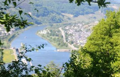 Ferienhaus Moselglück - Foto 78