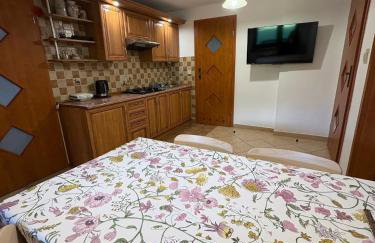 Apartament w Bieszczadach - Willa Stasia - Foto 7