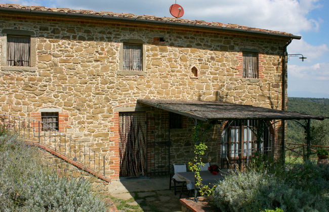 A spasso tra gli ulivi - Foto 11