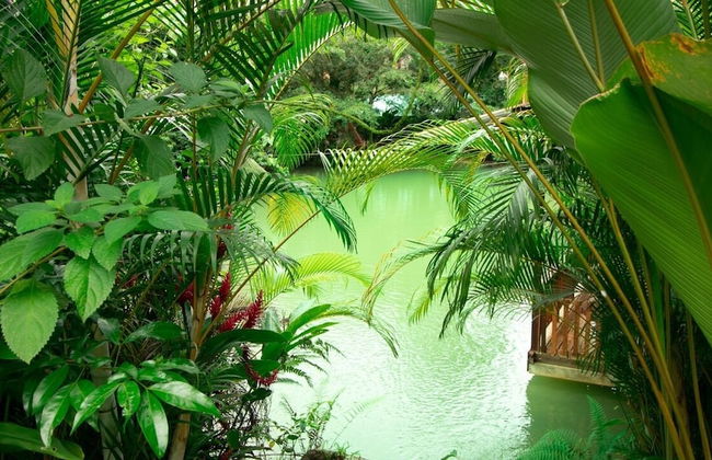 Cabañas del Lago - Foto 73