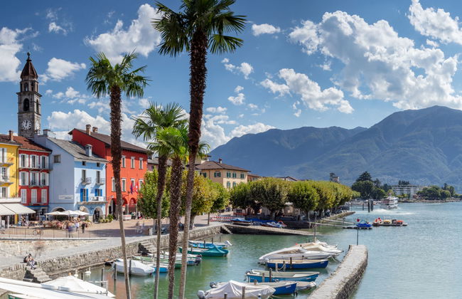 Collina Verde B - Foto 18