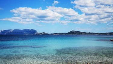 Sealine Villa with an amazing view of Tavolara - Foto 2