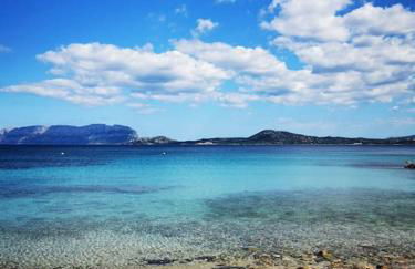 Sealine Villa with an amazing view of Tavolara - Foto 2