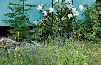 Chalet Alba - Foto 40