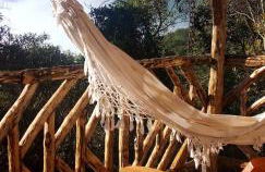 Recanto do Leão - Foto 31