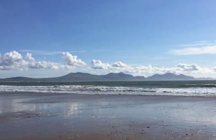 Pen Braint - Foto 28