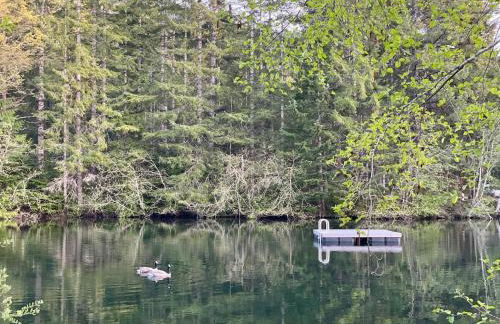 Mt Rainier Little Green Cabin On Big Creek! - Foto 35