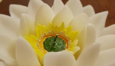 Moncalvo in Relax - Foto 3