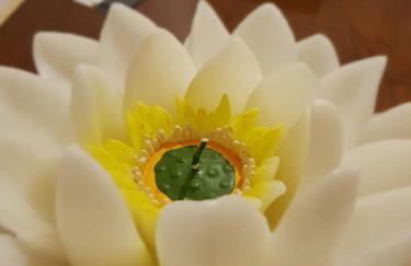 Moncalvo in Relax - Foto 3