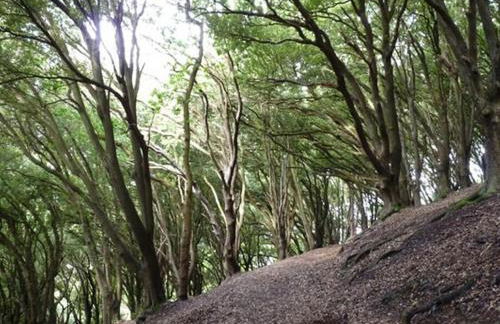 The Pack Horse Exmoor National Park Allerford Riverside Cottage & Apartments - Photo 6