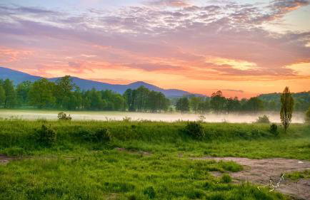 Apartamenty Czarna Perła - Foto 37