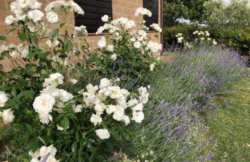 Monolocale La Mimosa - Foto 22