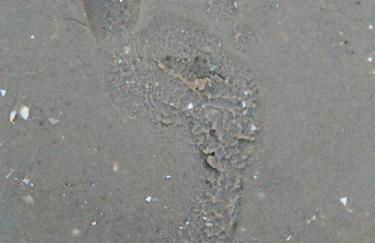 Ferienwohnung am Seglerhafen - Foto 20