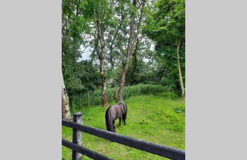 The Loft at Rock Cottage with hot tub - Foto 13