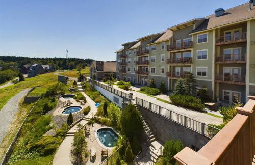 Soaring Eagle Ski-in - Ski-out Condo with Hot Tubs - Foto 33