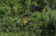 Ruralna kuća za odmor Pozojova hiža - Rural Holiday House - Foto 40