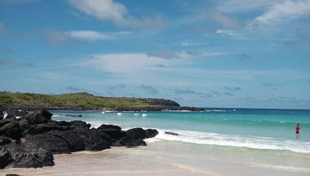 7-Day Tour of Isabela, Santa Cruz, & San Cristóbal Islands - Foto 5