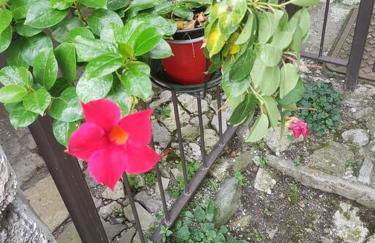 LA CORTE DELLA CARLA - cozy home in the old court - Foto 28