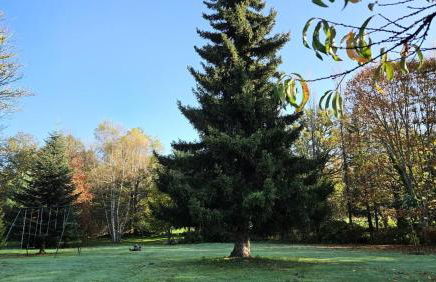 Gîte de France Le fournil 3 épis - Gîte de France 2 personnes MAE-6664 - Foto 39