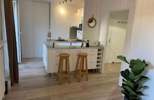 Studio 28 m2 & jardin privatif 20 m2 - Foto 1