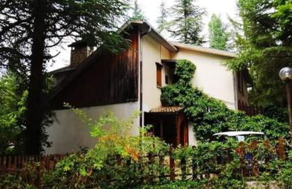 La Stella Alpina - Photo 38