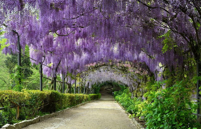 Podere Apostoli - Foto 35