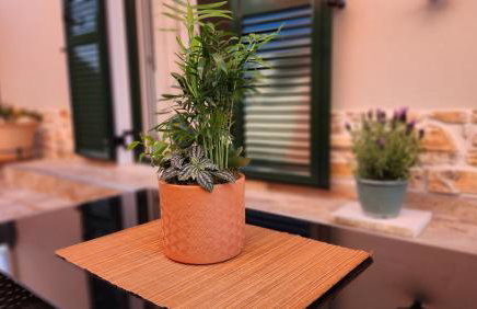 PIERI HOUSE CORFU - Foto 42