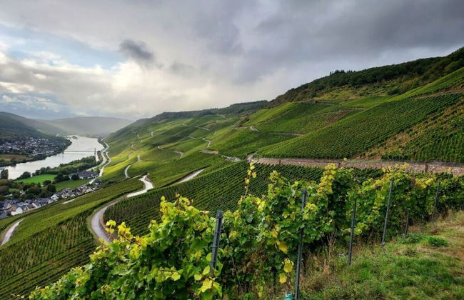 Holiday Apartment Falkenlay - Foto 25