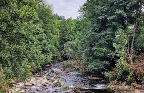 Charaktervolle 122qm Altbau-Ferienwohnung mit Stuck, viel Platz für Familien & Gruppen bis zu 8 Personen, Parkplatz inklusive - Photo 77