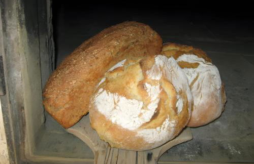 Sigmundenhof Schonach - Foto 25